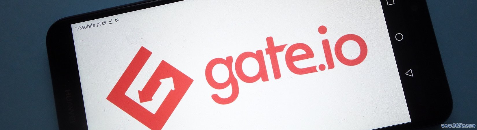 忘了哪个平台买的狗狗币(数字资产交易软件安全评估)(672)